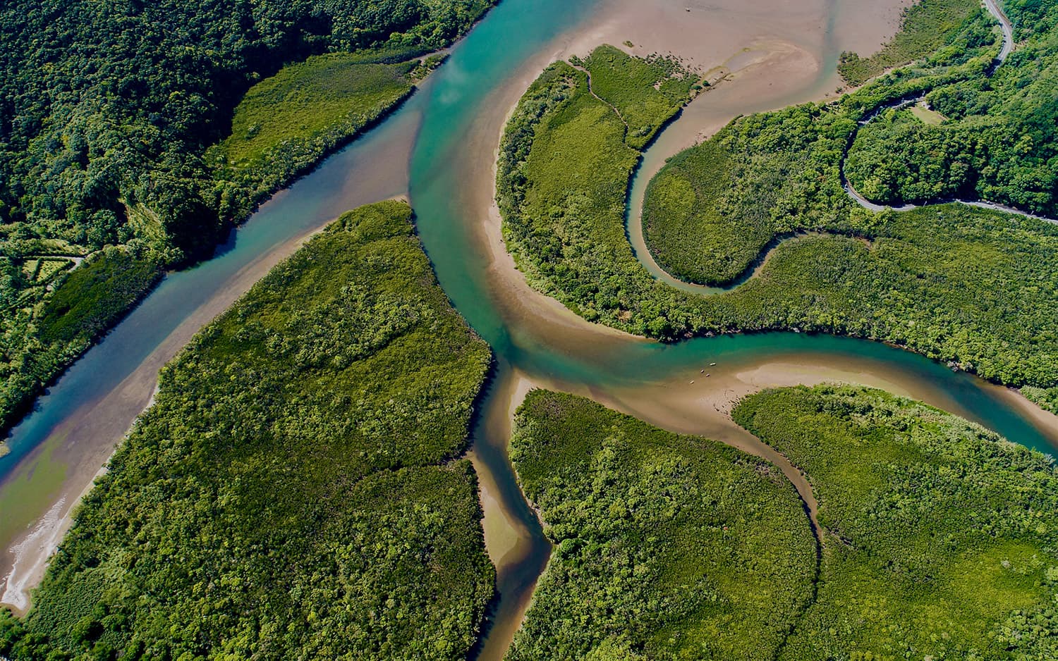 Discover Amami Oshima, Japan’s Newest World Heritage site