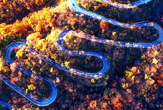 Seeing, Hearing and Feeling The Grace of Japan, TOCHIGI